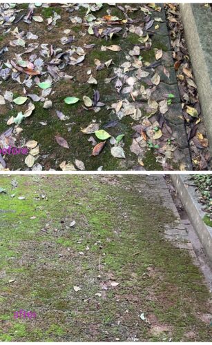 兵庫県西宮市で清掃/掃除/ハウスクリーニングの家政婦・家事代行サービスの530目ご利用報告