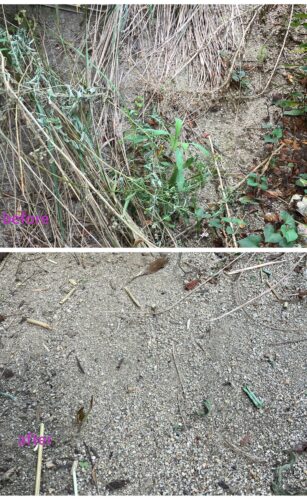 兵庫県西宮市で清掃/掃除/ハウスクリーニングの家政婦・家事代行サービスの533目ご利用報告