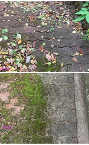 兵庫県西宮市で清掃/掃除/ハウスクリーニングの家政婦・家事代行サービスの534目ご利用報告