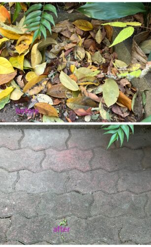 兵庫県西宮市で清掃/掃除/ハウスクリーニングの家政婦・家事代行サービスの539目ご利用報告