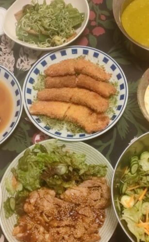 大阪府吹田市で夕食作りの家政・家事代行サービ320回目ご利用報告